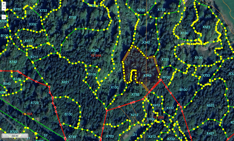 Generated Map